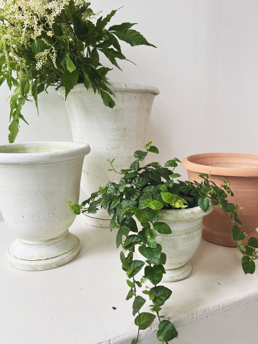 Potier Cachepot – Spring Sweet