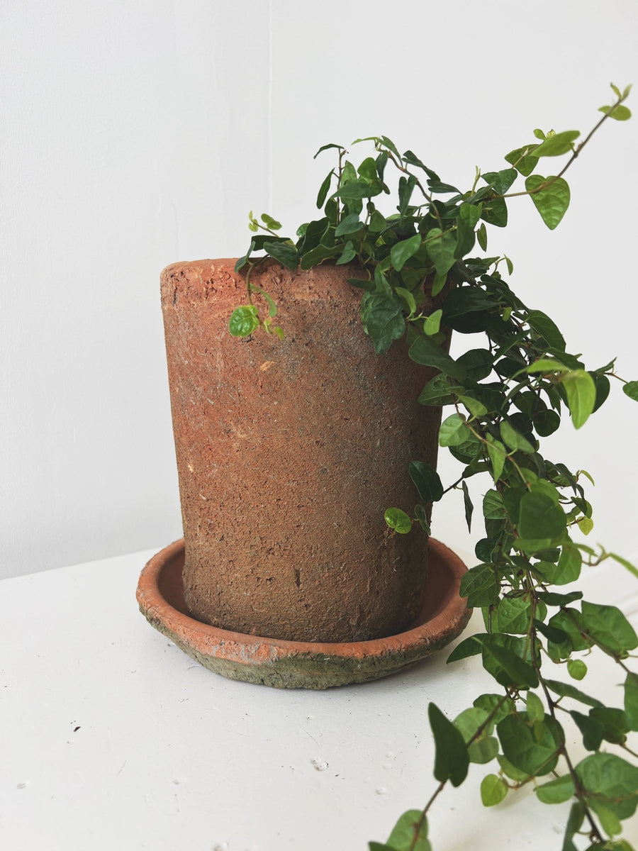 Rustic Terra Cotta Pot w/ Saucer – Spring Sweet
