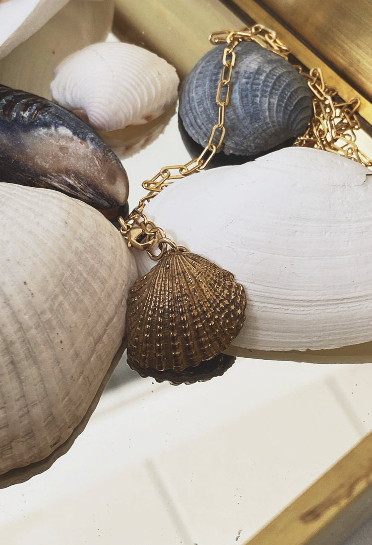 Venus Shell Necklace, GF/GP - Spring Sweet