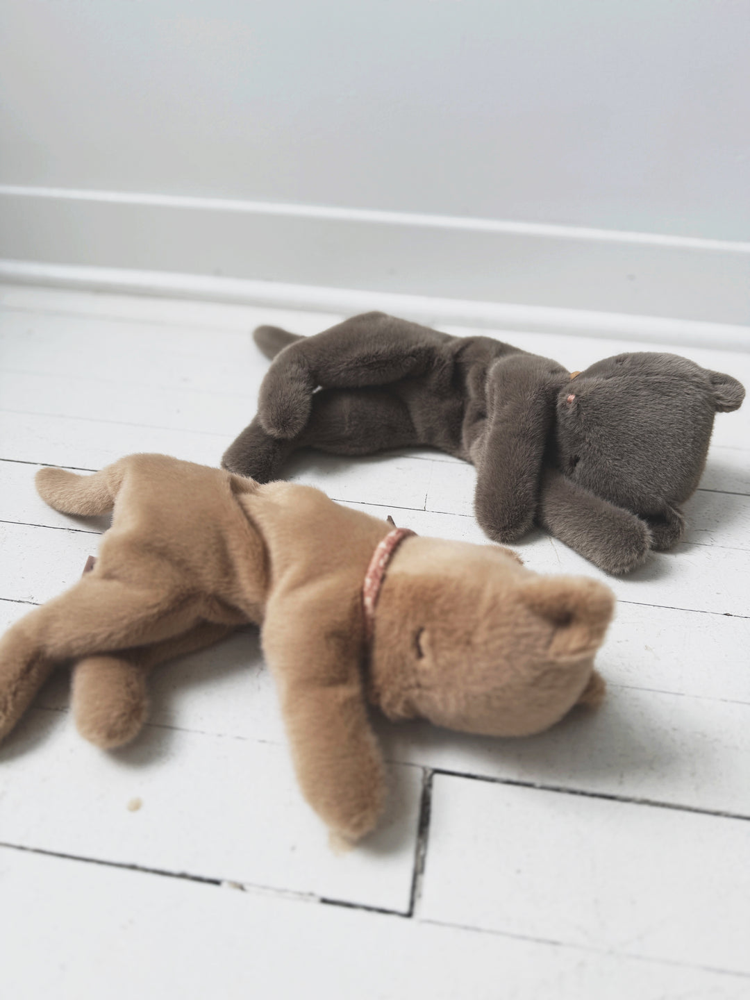 Plush Sleeping Kitten