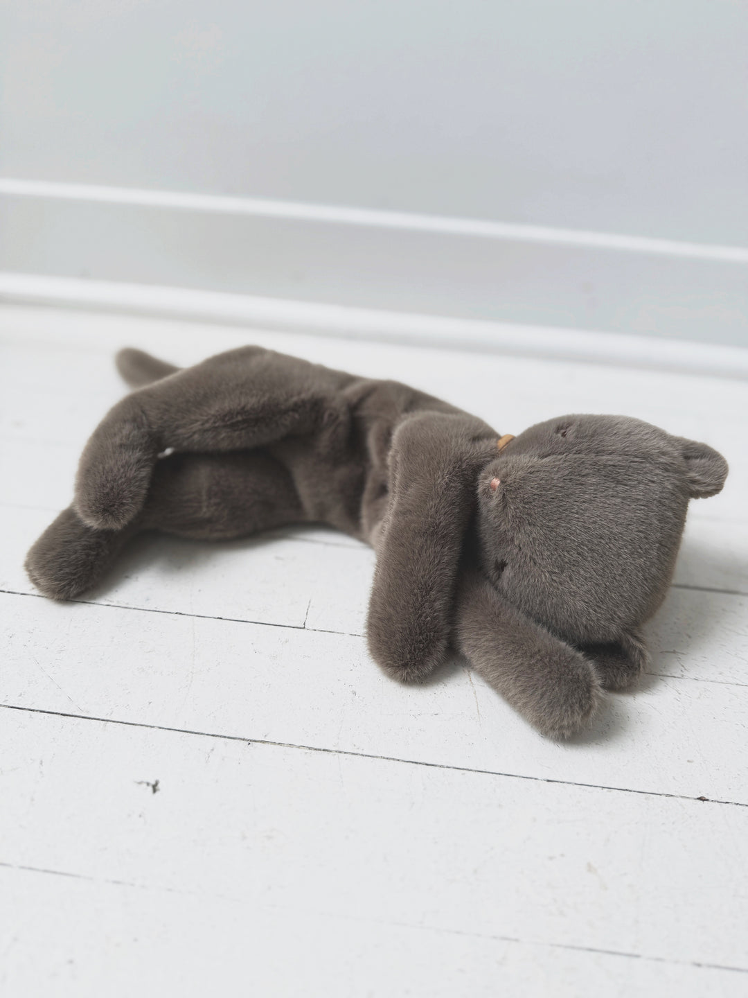 Plush Sleeping Kitten