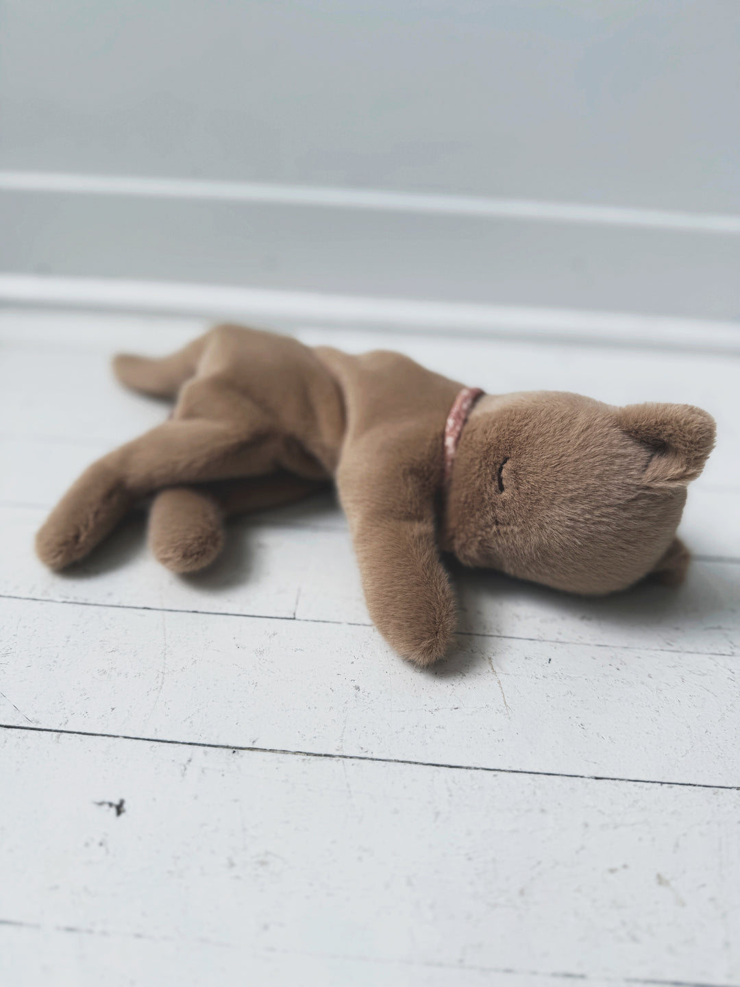 Plush Sleeping Kitten