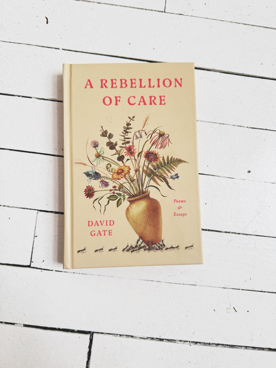 A Rebellion of Care: Poems & Essays - Spring Sweet