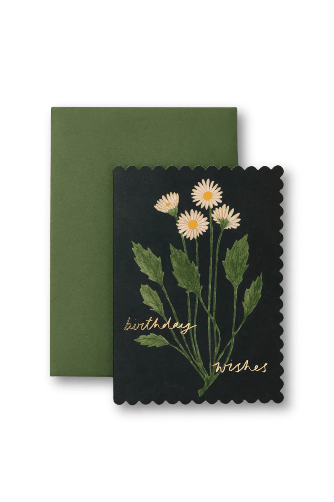 Botanical Daisy Card - Spring Sweet