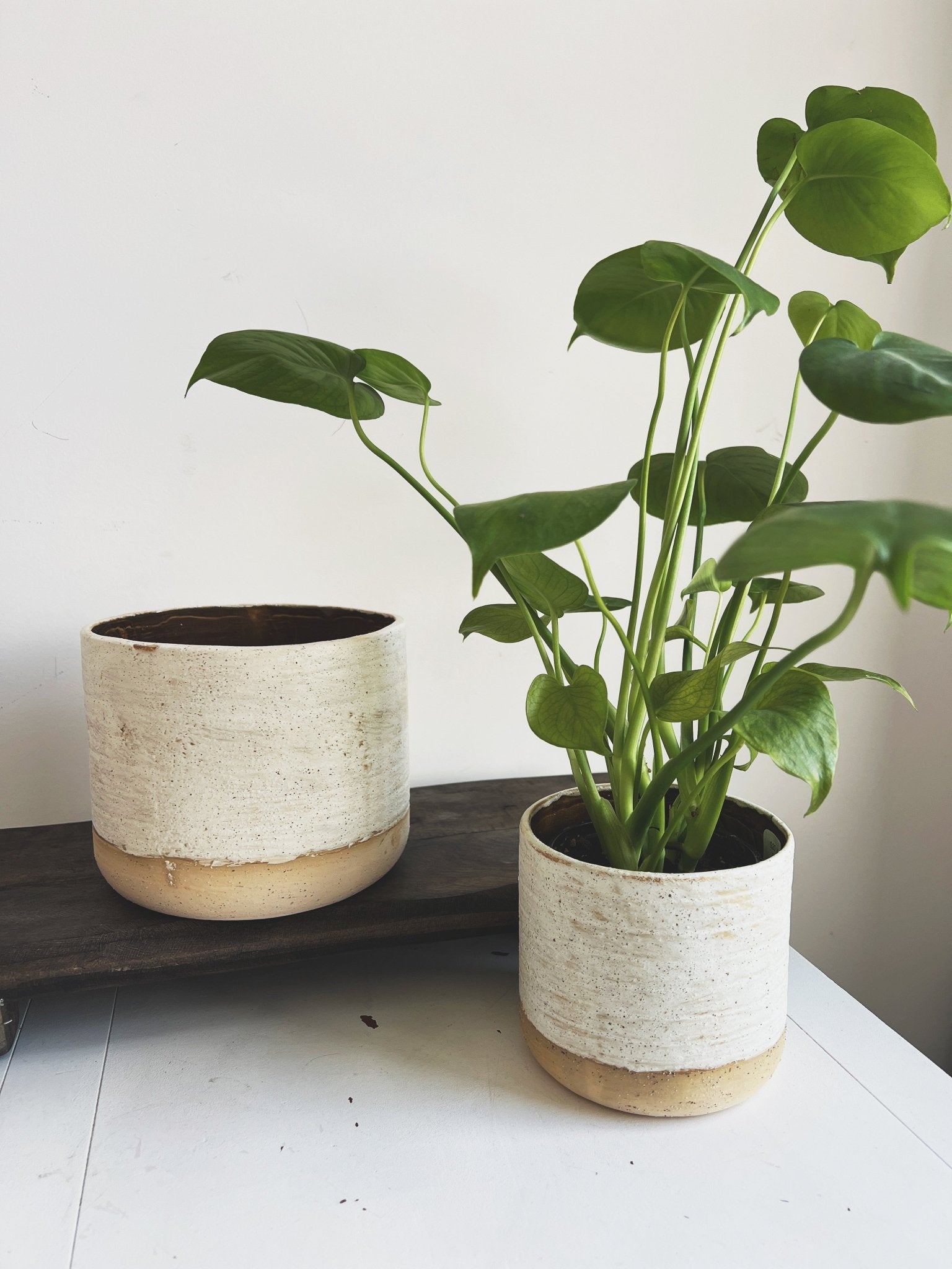 artisinal plant pots Ceramic Artisan Pot – Spring Sweet