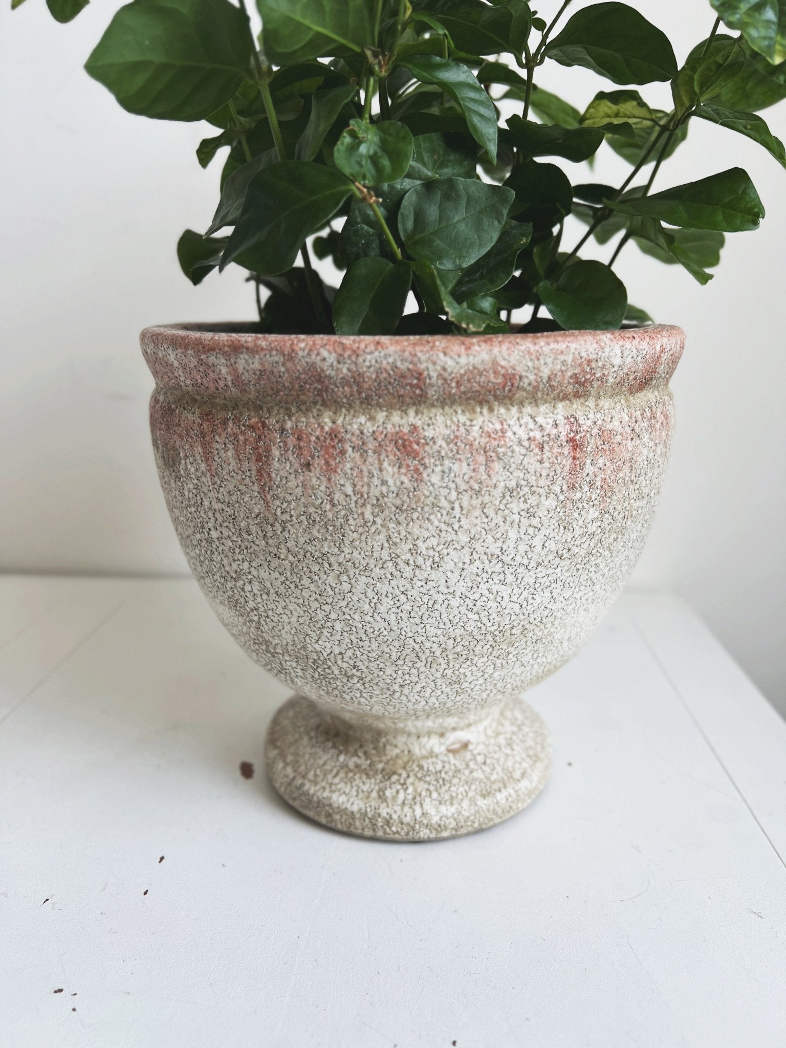 distressed planter pot Distressed Footed Planter