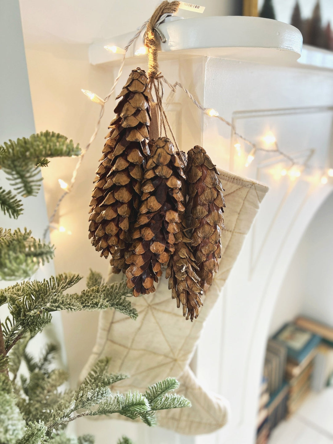 Dried Pinecone Bundle - Spring Sweet