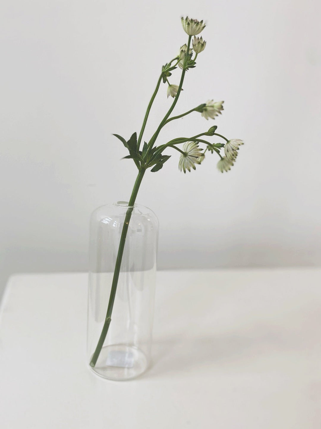 Highball Budvase - Spring Sweet