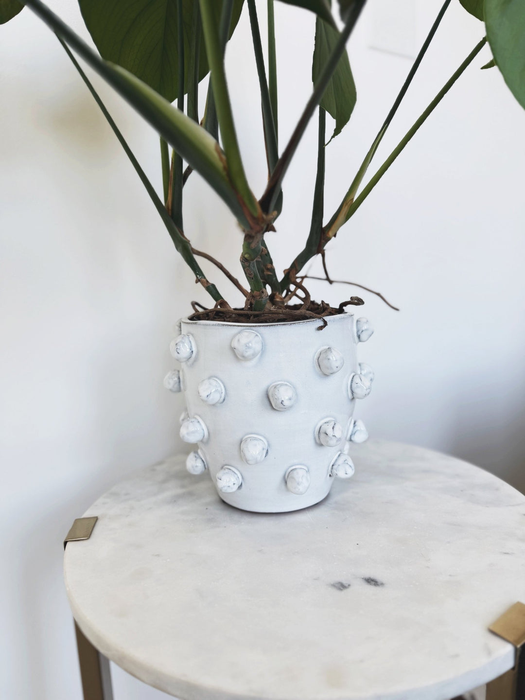 Hobnail Terra - cotta Planter - Spring Sweet