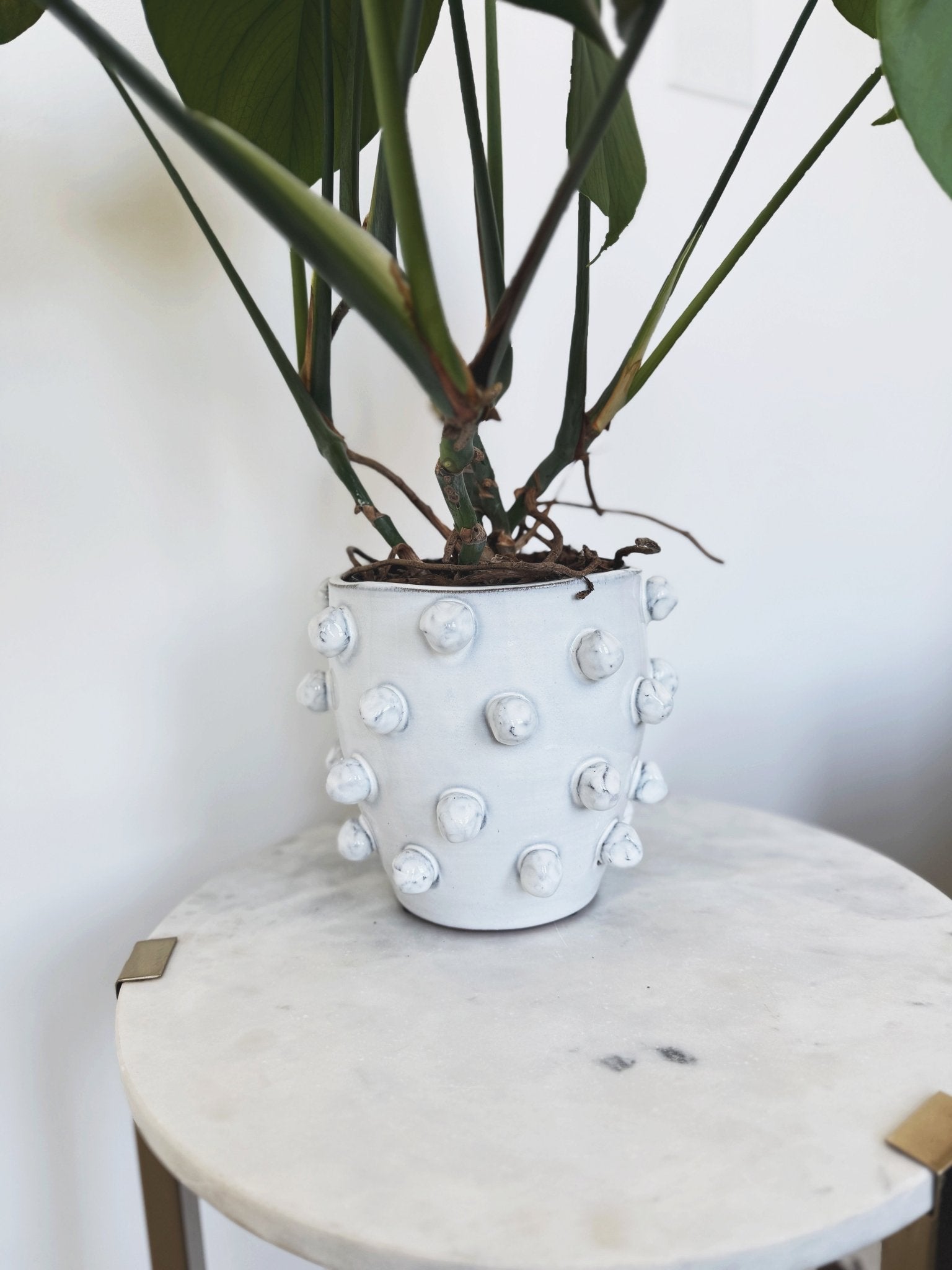 Hobnail Terra - cotta Planter - Spring Sweet