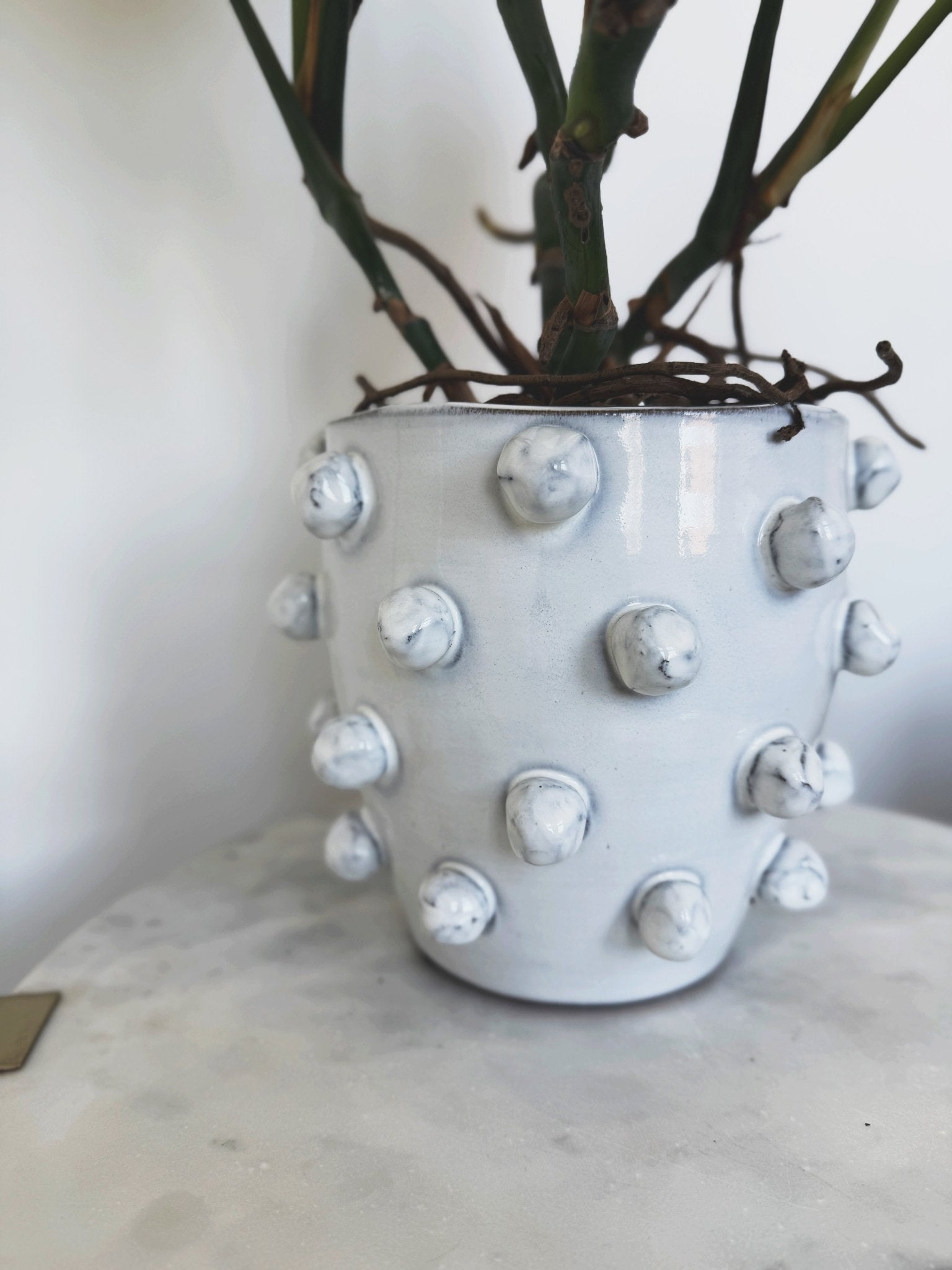 Hobnail Terra - cotta Planter - Spring Sweet