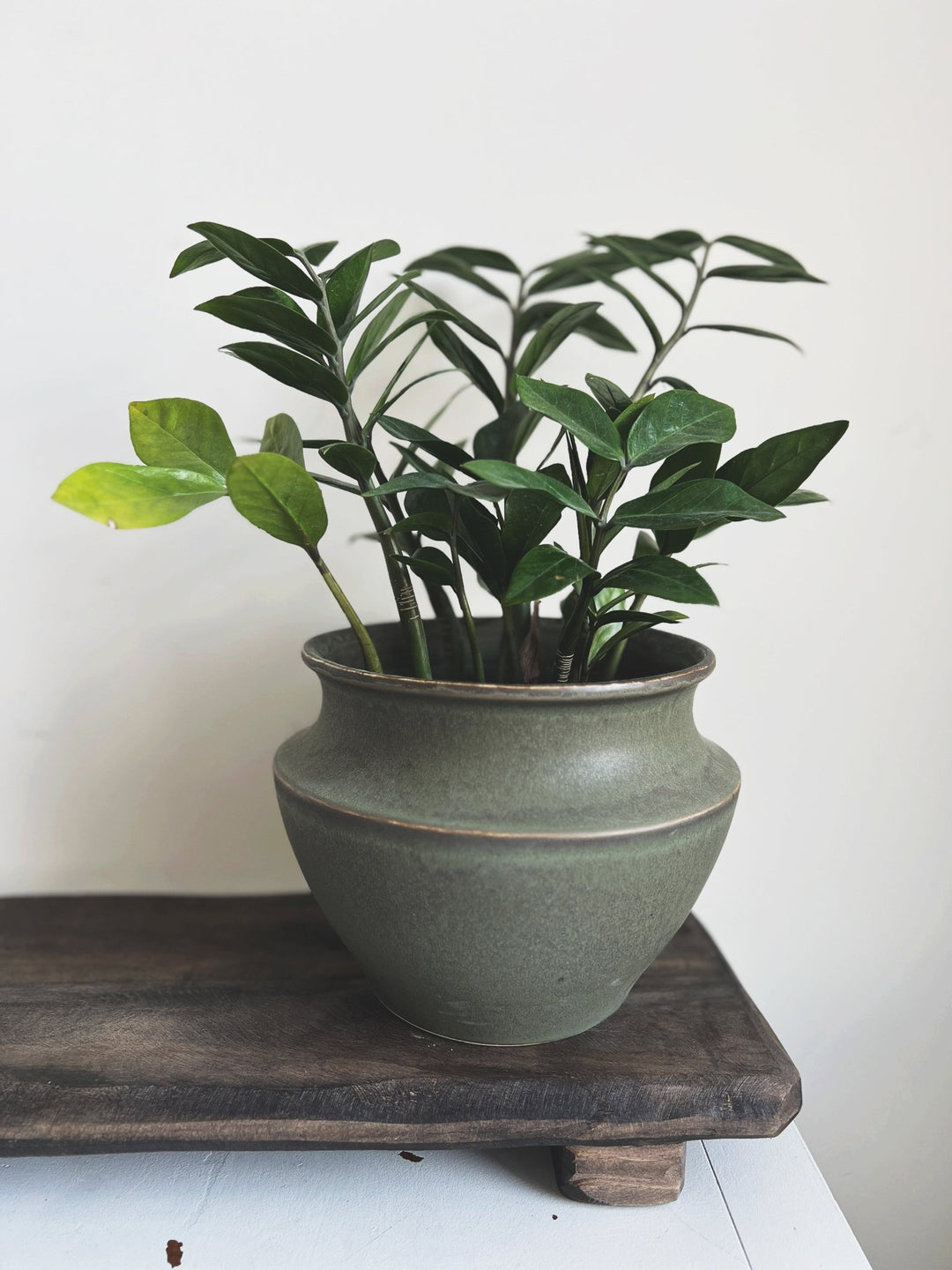 Matte Green Ceramic Pot - Spring Sweet