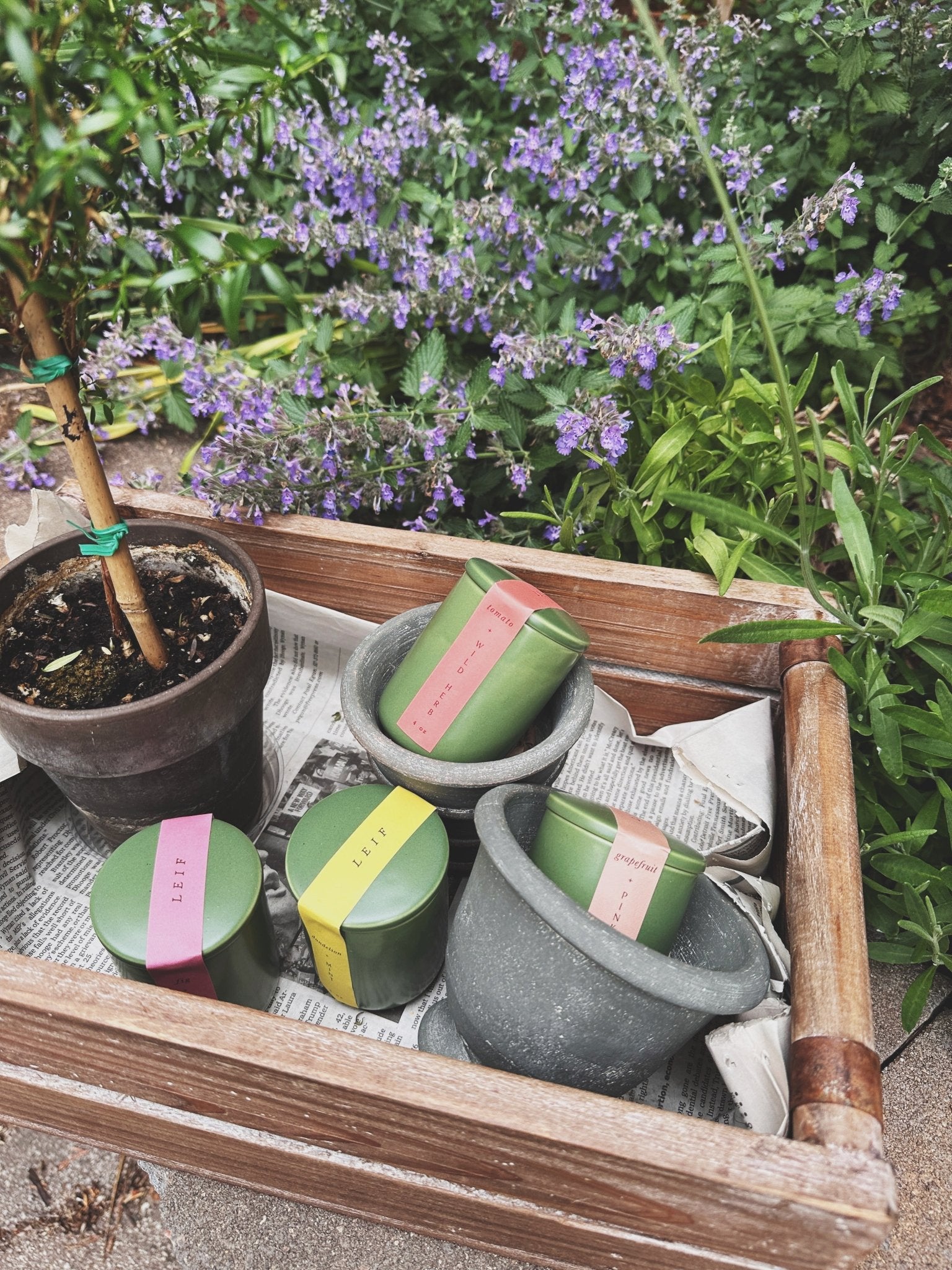 Mini Botanist Candle - Spring Sweet