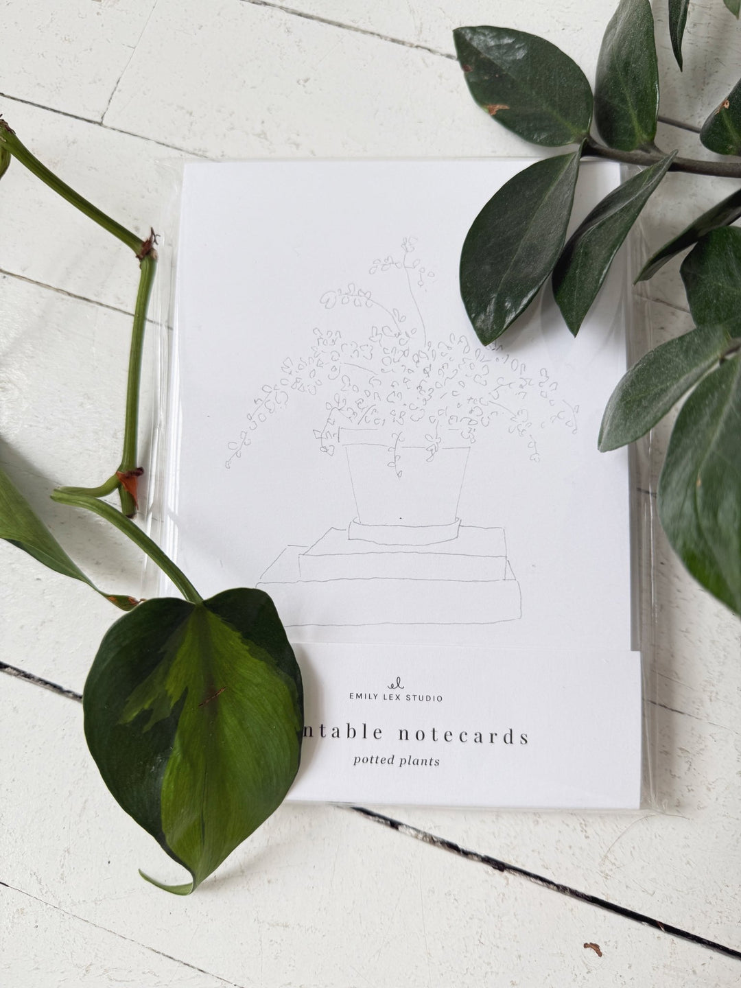 Paintable Notecard Set - Spring Sweet