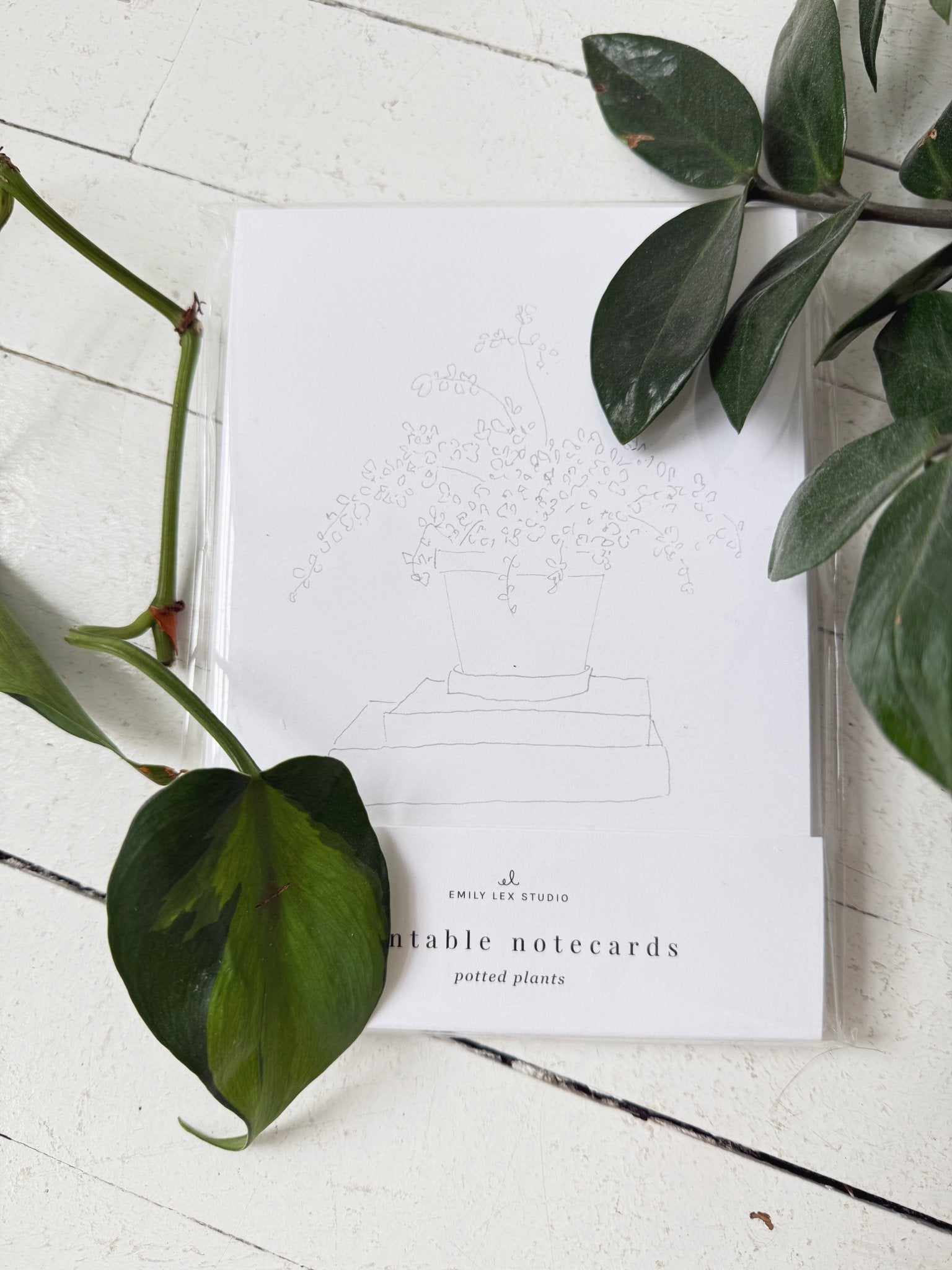 Paintable Notecard Set - Spring Sweet