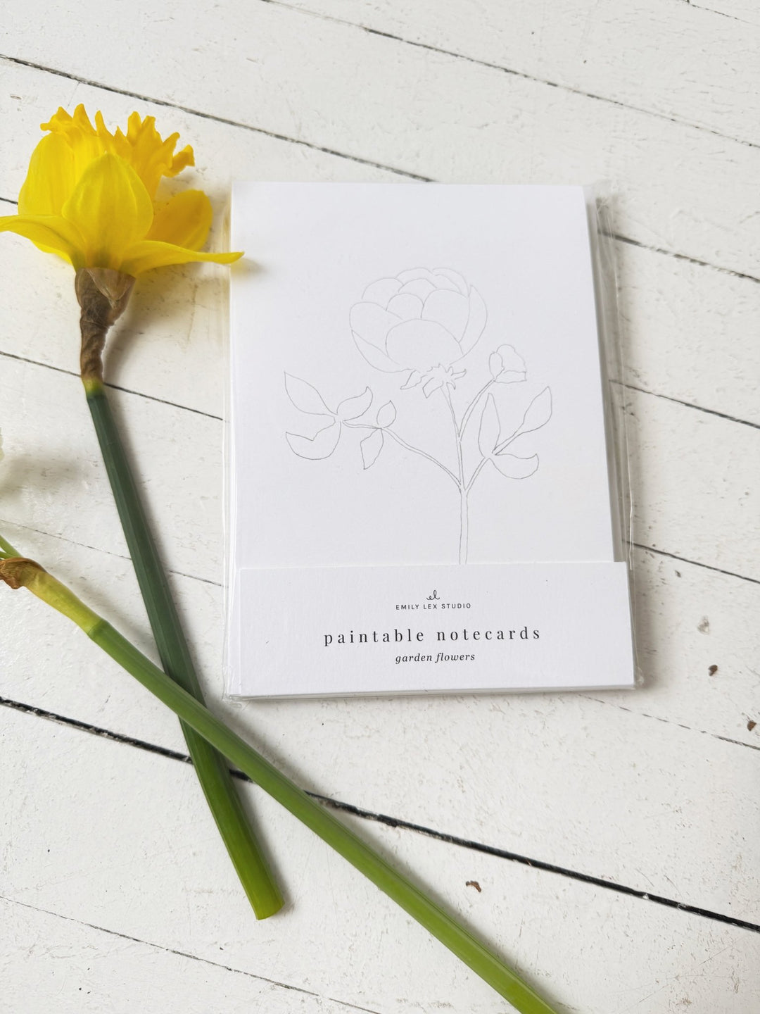 Paintable Notecard Set - Spring Sweet