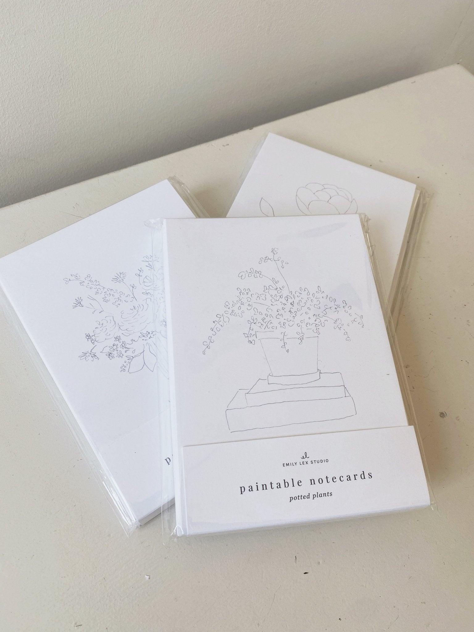 Paintable Notecard Set - Spring Sweet