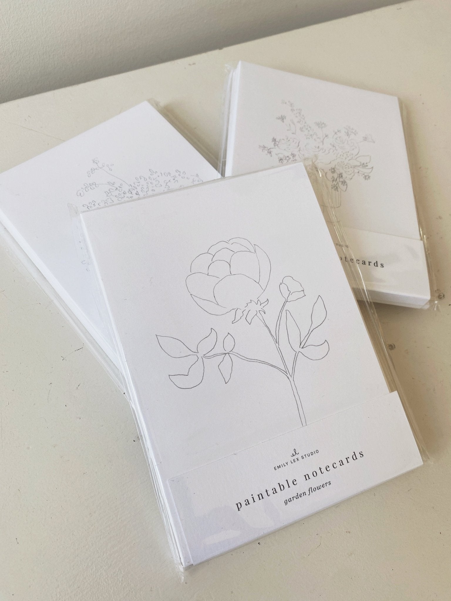 Paintable Notecard Set - Spring Sweet