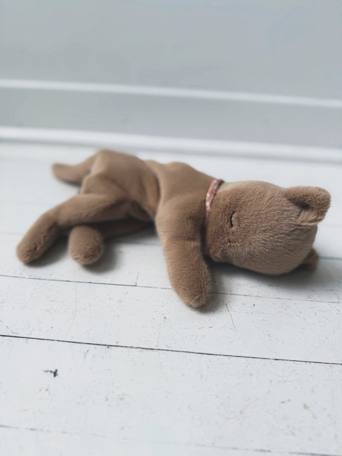 Plush Sleeping Kitten - Spring Sweet
