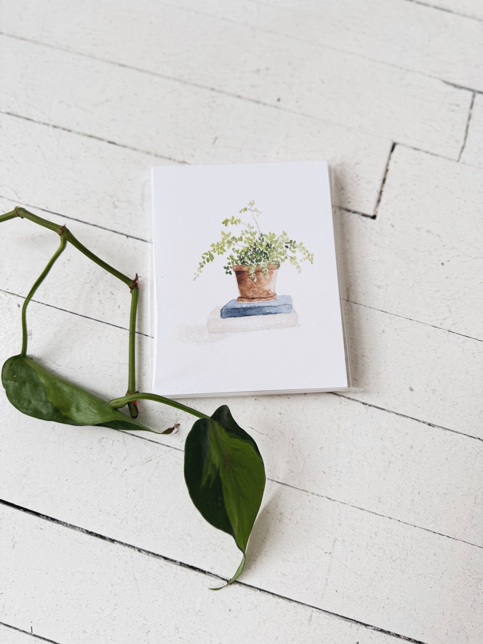 Potted Plants Notecard Set - Spring Sweet