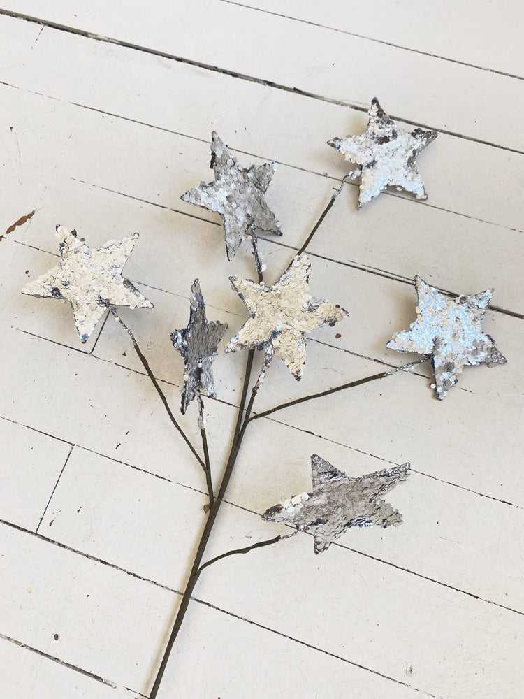 Star Spray - Spring Sweet