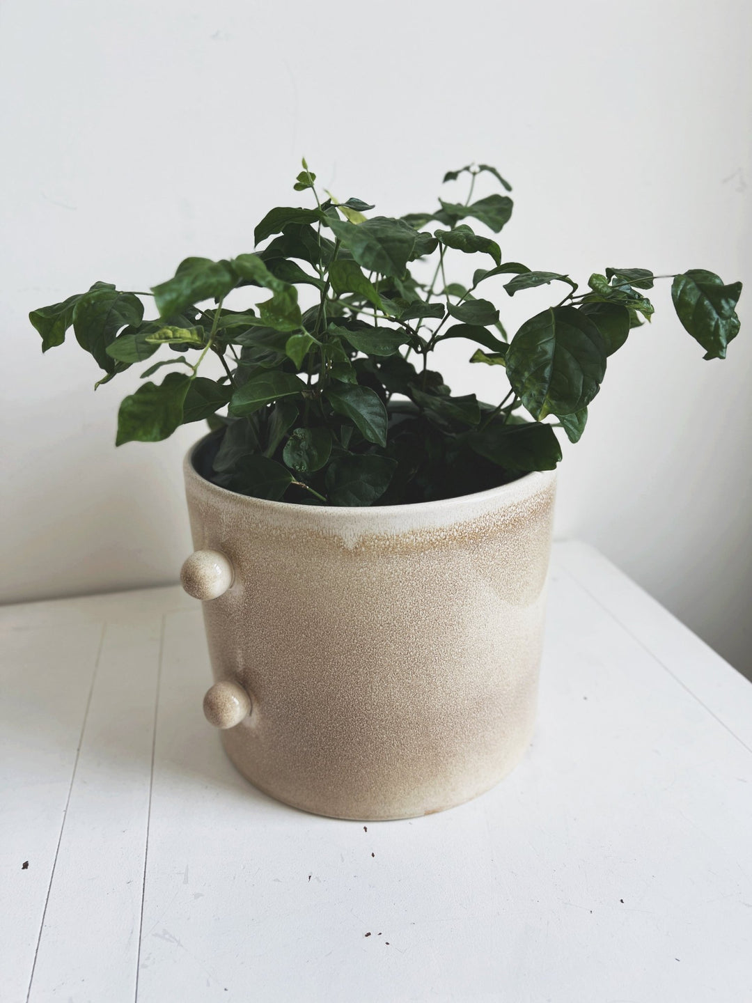 Stoneware Planter w/ Glaze - Spring Sweet