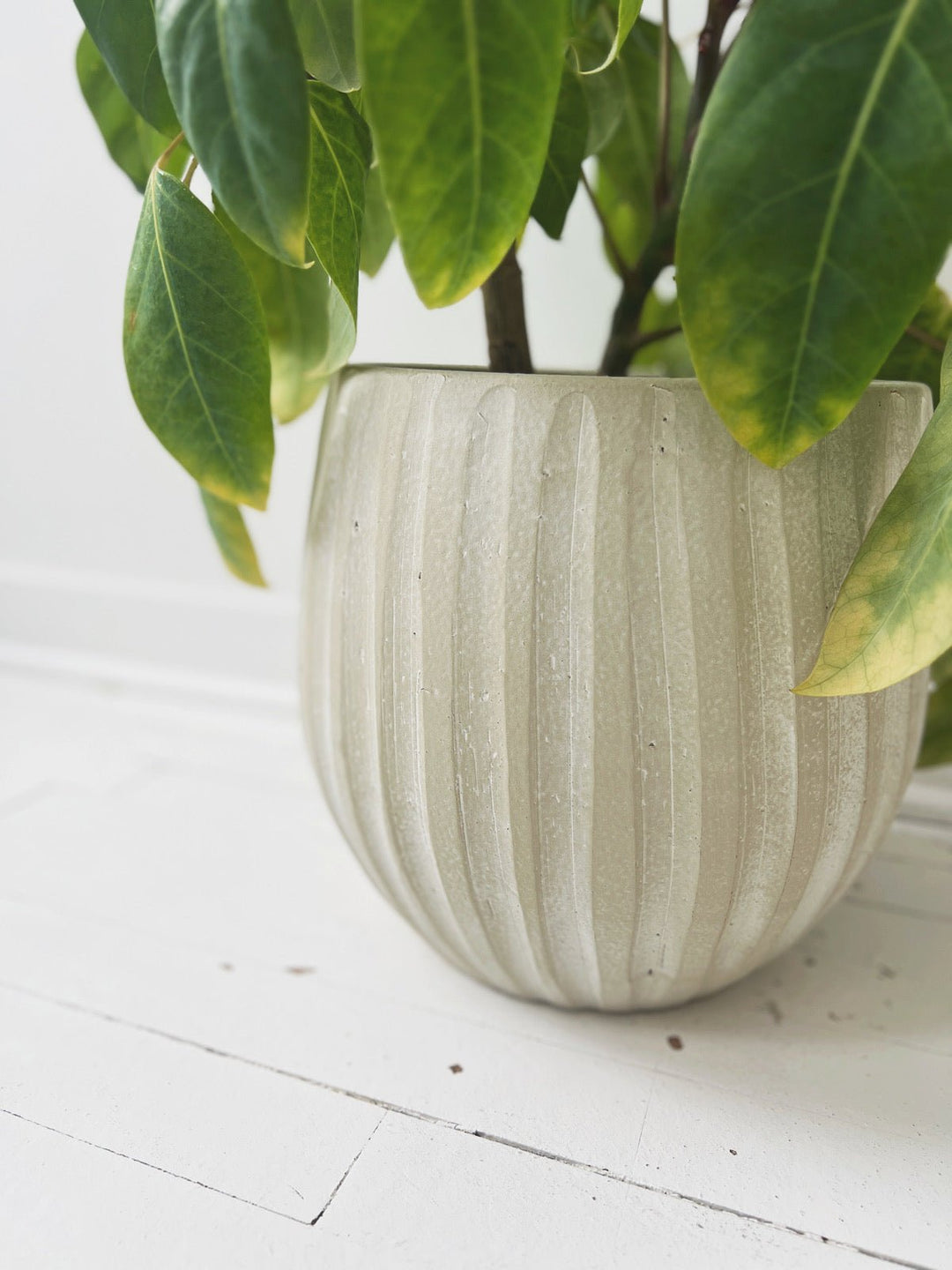 striped planter pot Striped Texture Pot – Spring Sweet