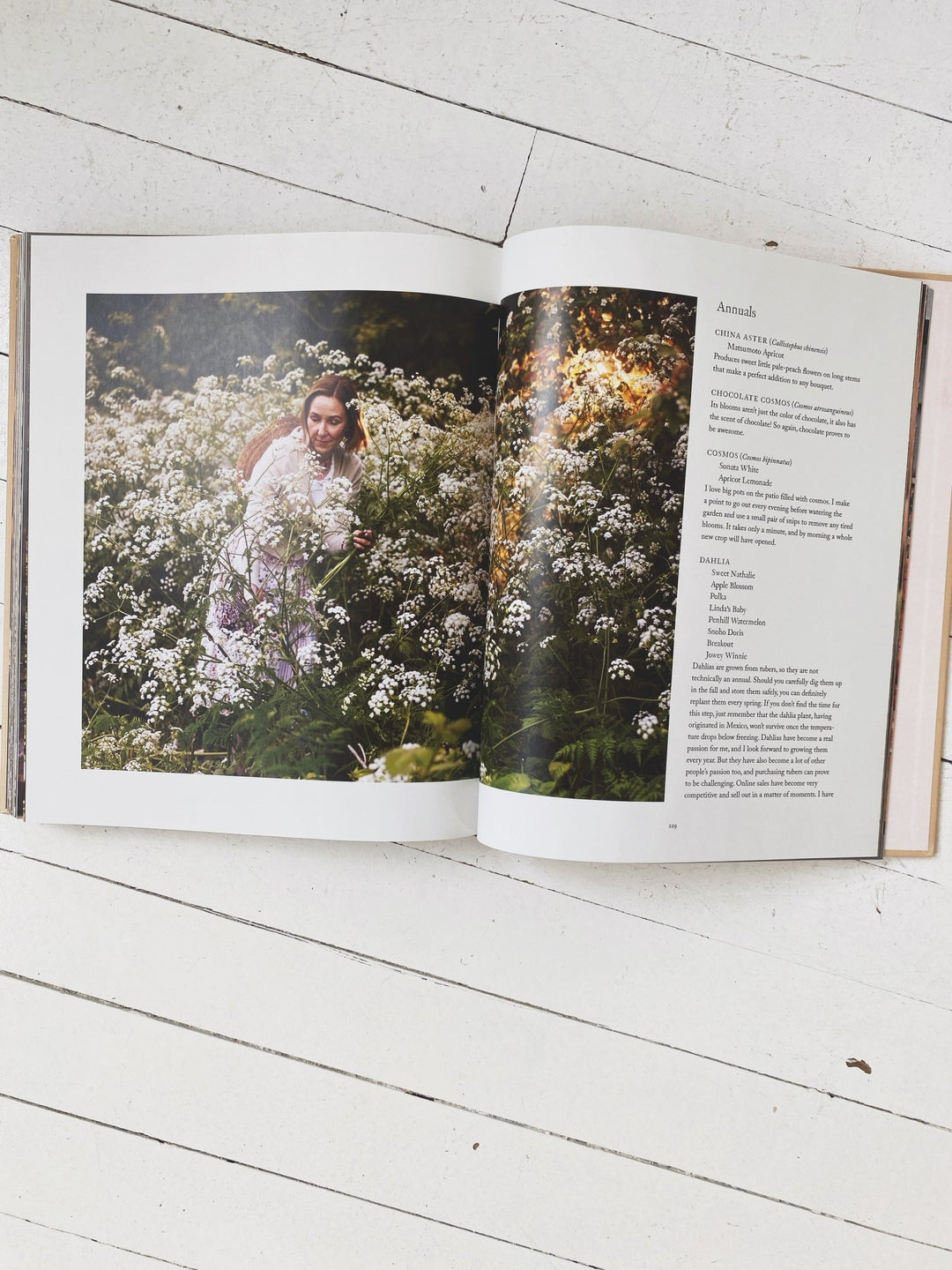 The Side Gardener - Spring Sweet