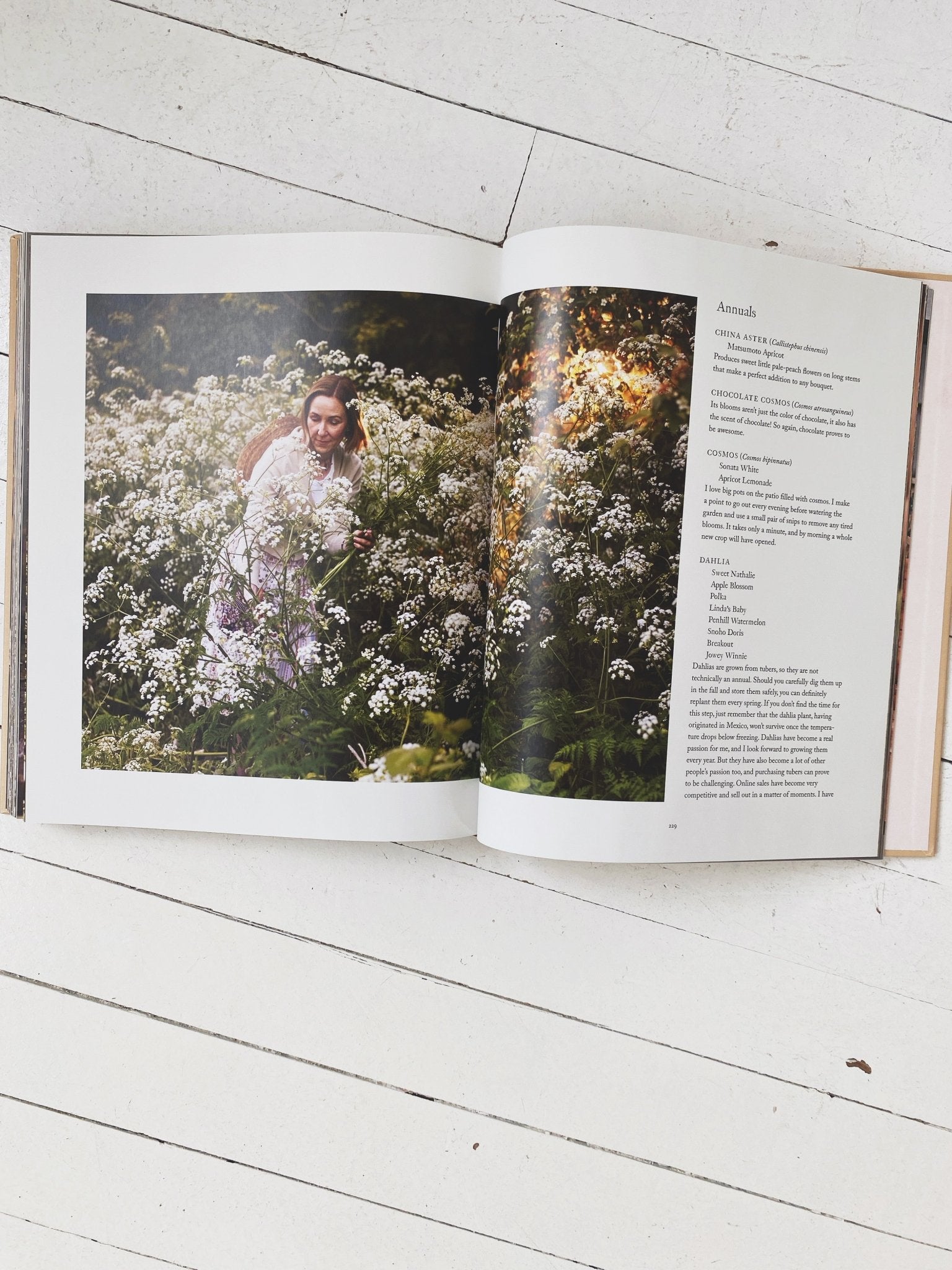 The Side Gardener - Spring Sweet