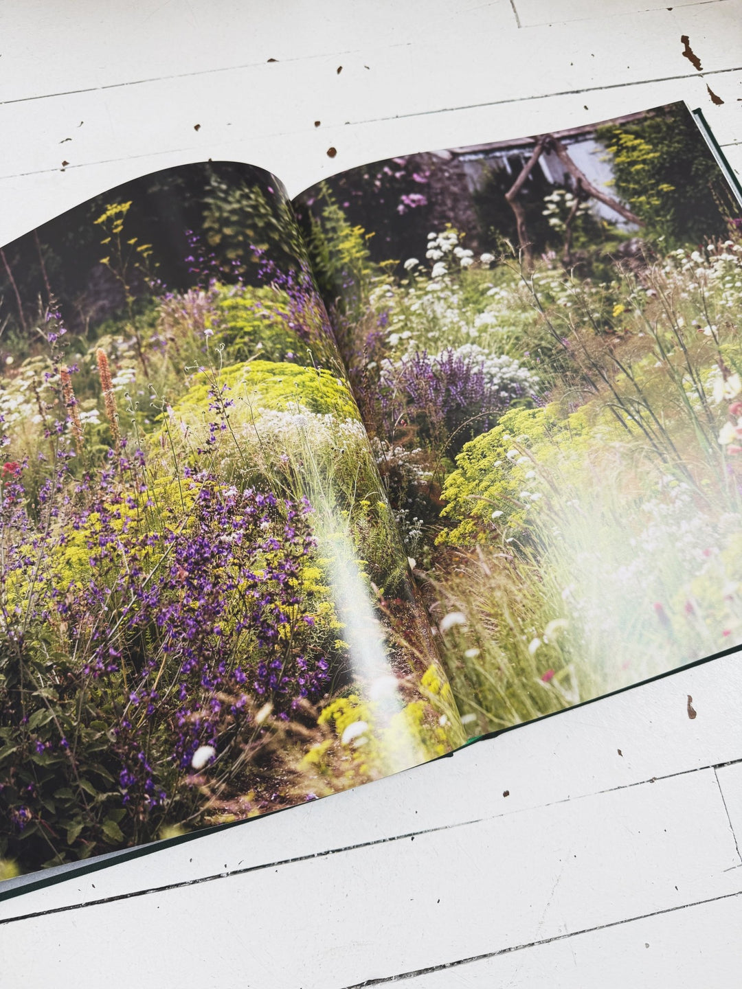 Wonderlands - Spring Sweet