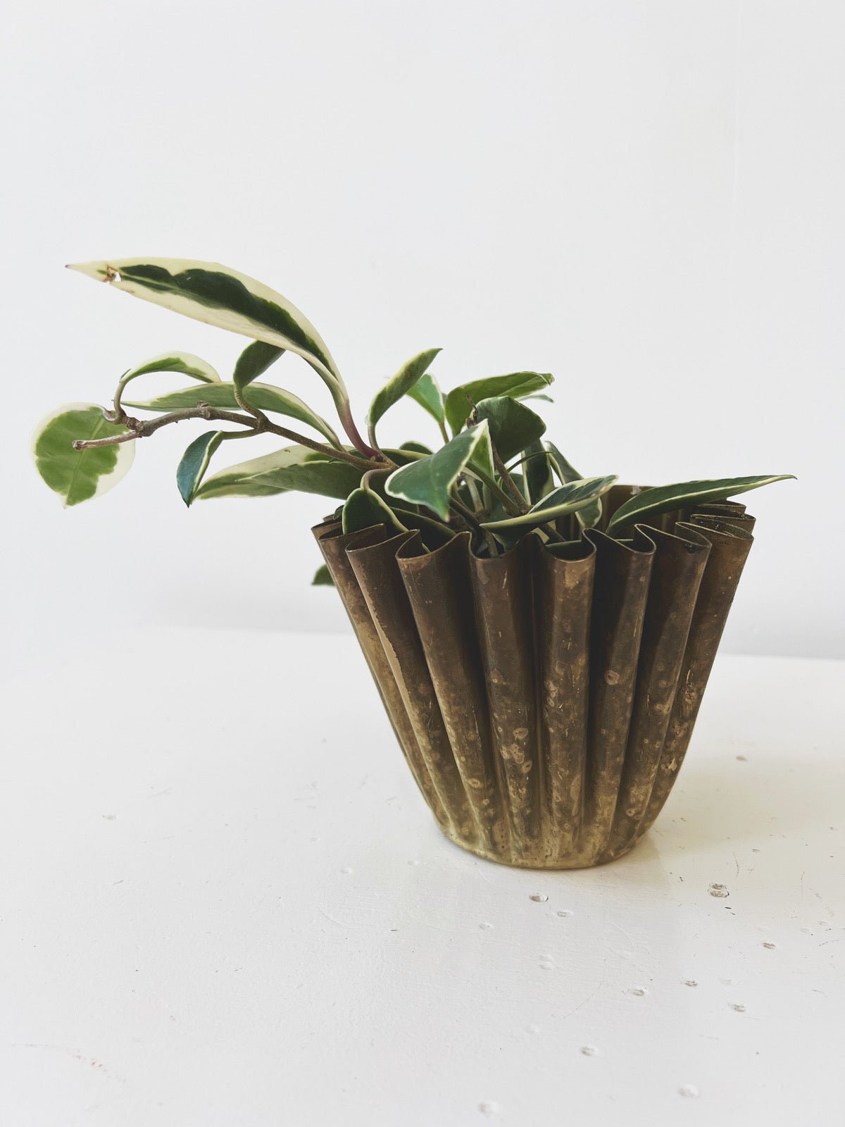 Brass Fluted Planter - Spring Sweet