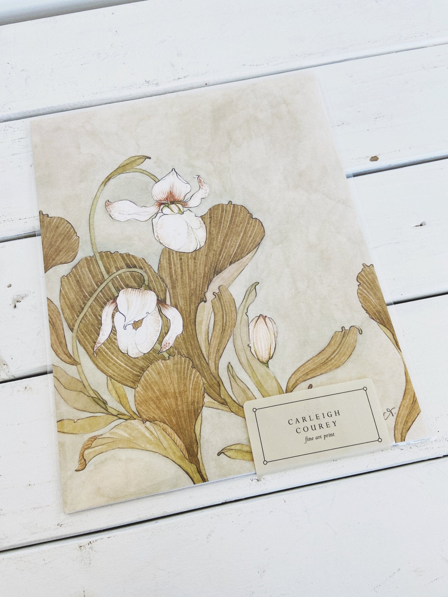 Carleigh Courey 8x10 Art Print – Spring Sweet