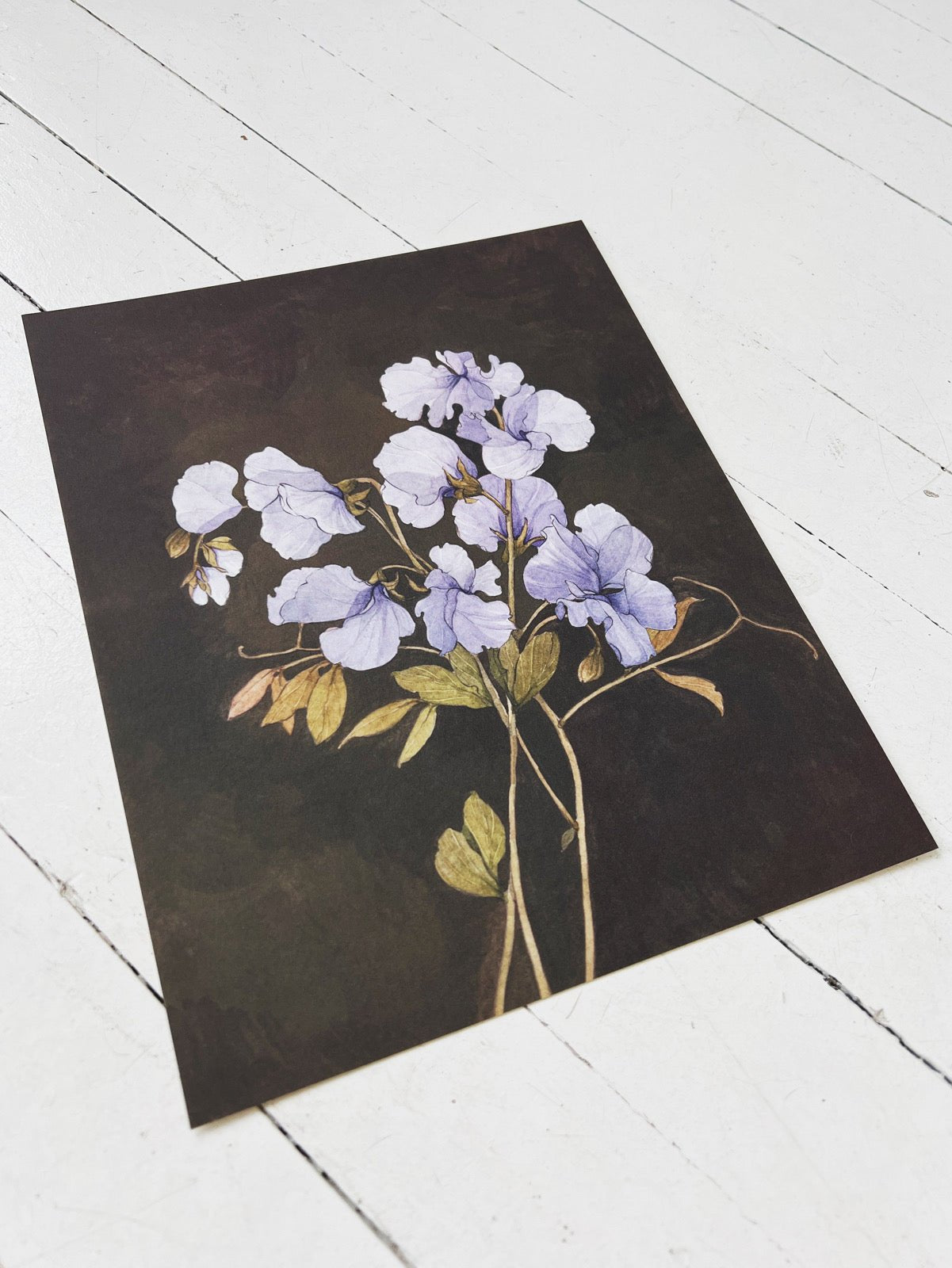 Carleigh Courey 8x10 Art Print - Spring Sweet