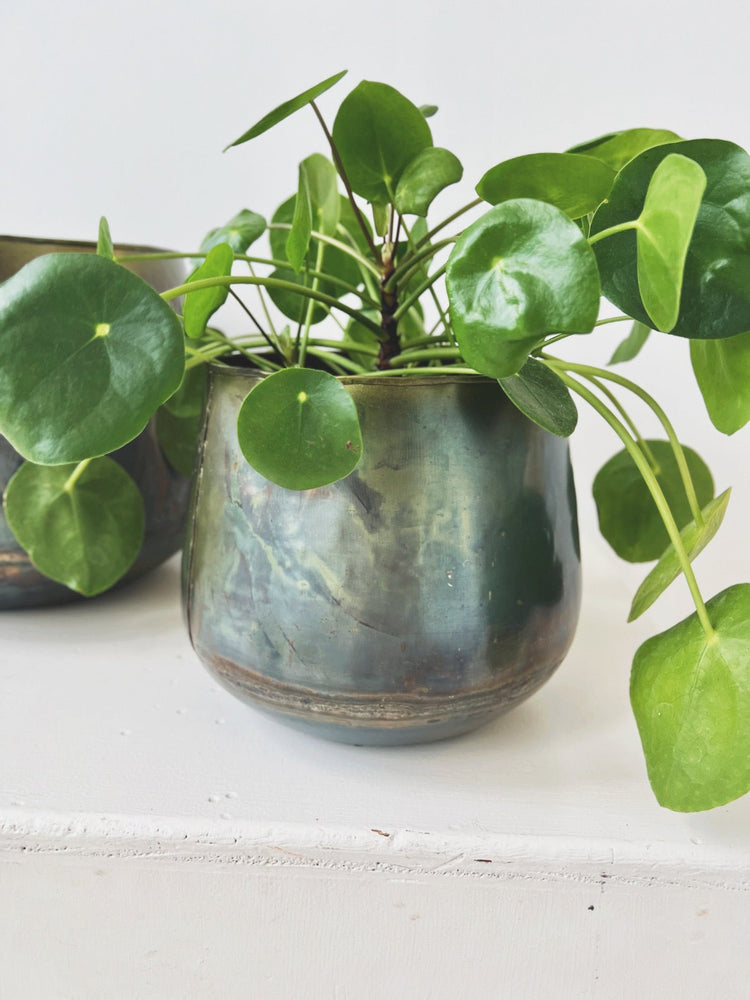 Oxidized Metal Planter - Spring Sweet