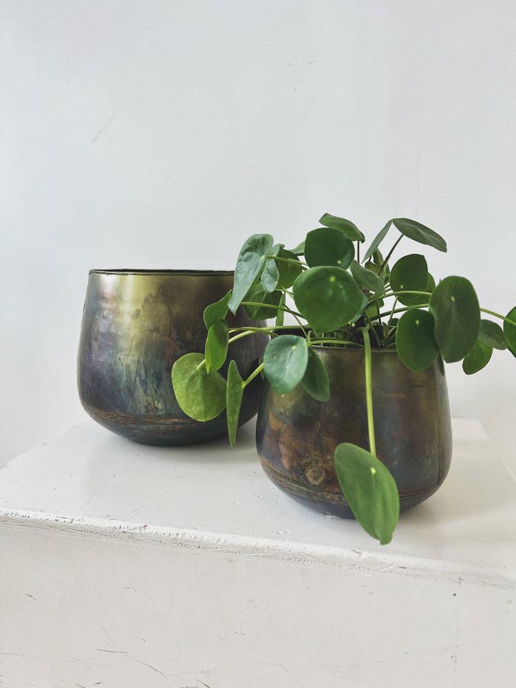 Oxidized Metal Planter - Spring Sweet