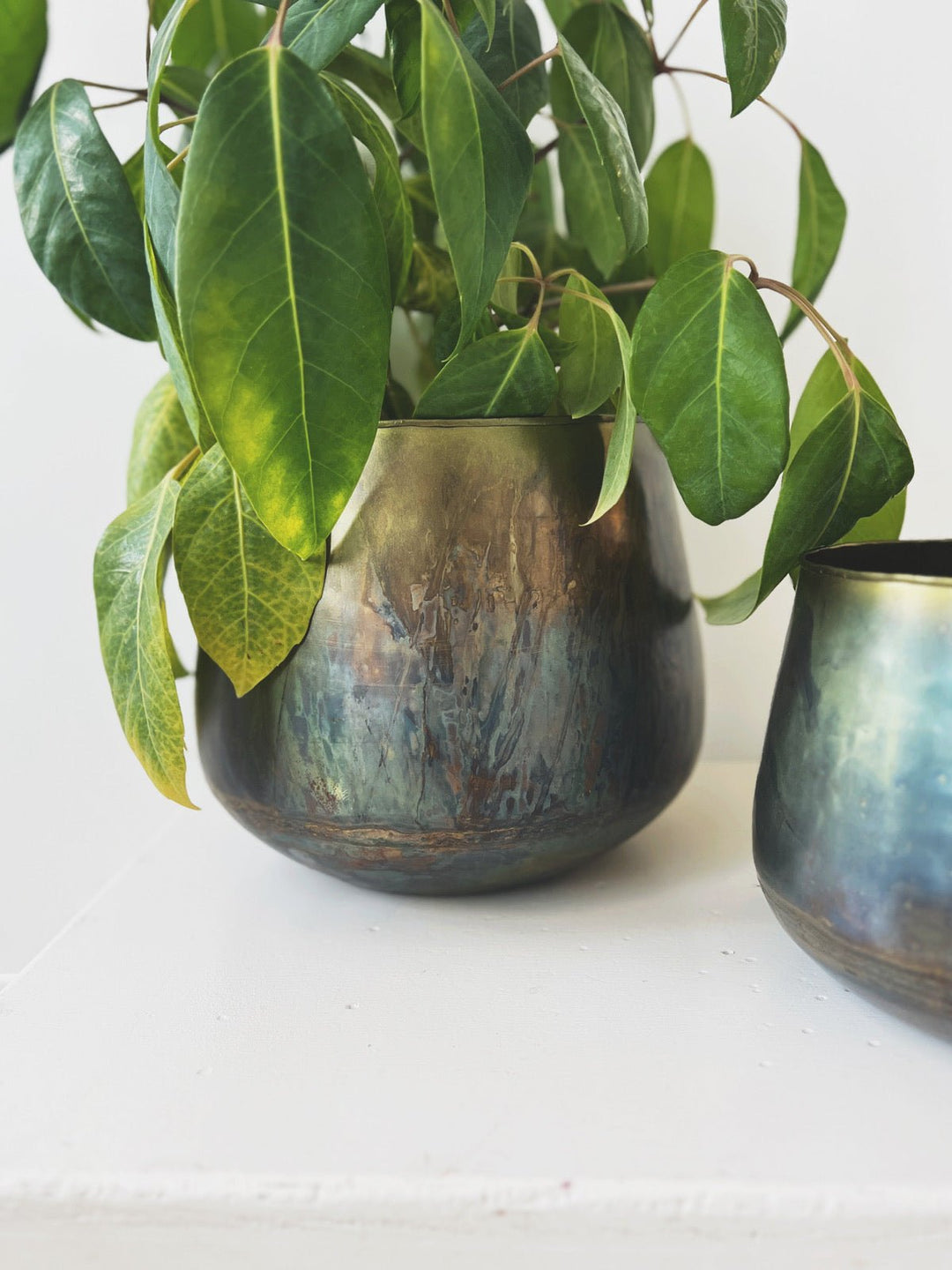 metal pot planter Oxidized Metal Planter – Spring Sweet