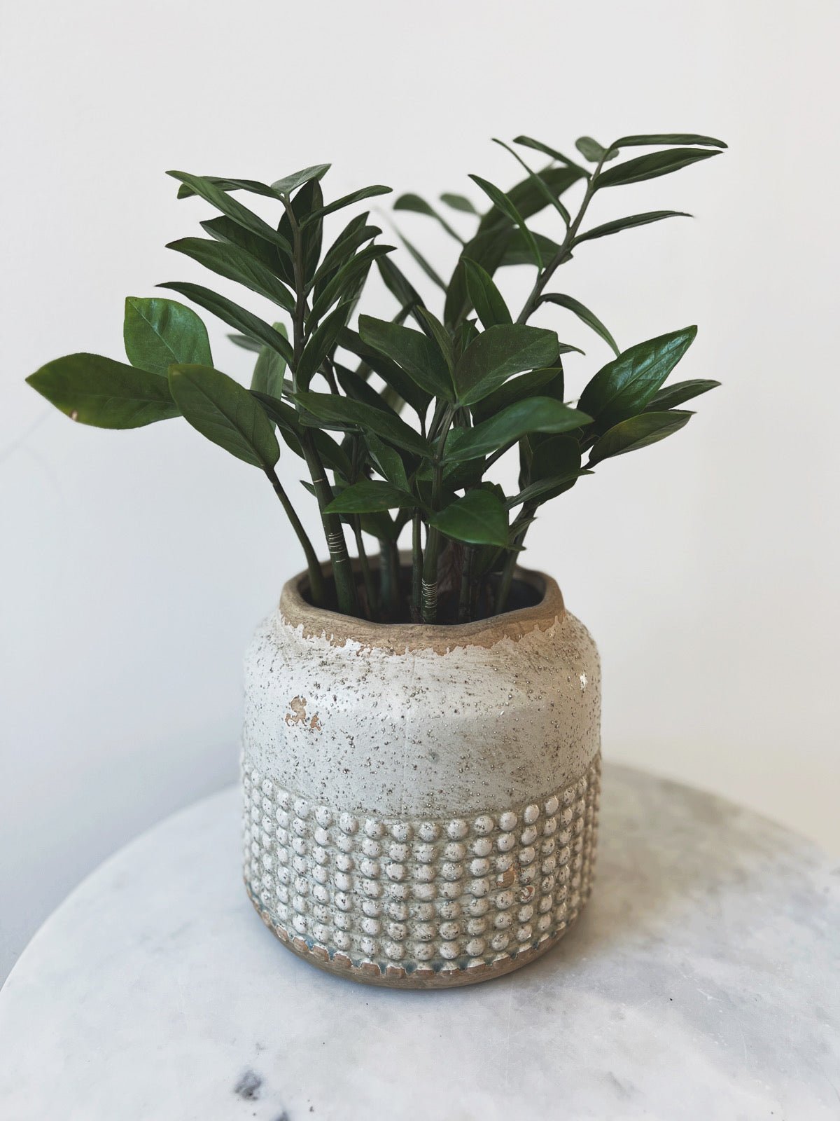 hobnail planter pot Terra-cotta Hobnail Planter