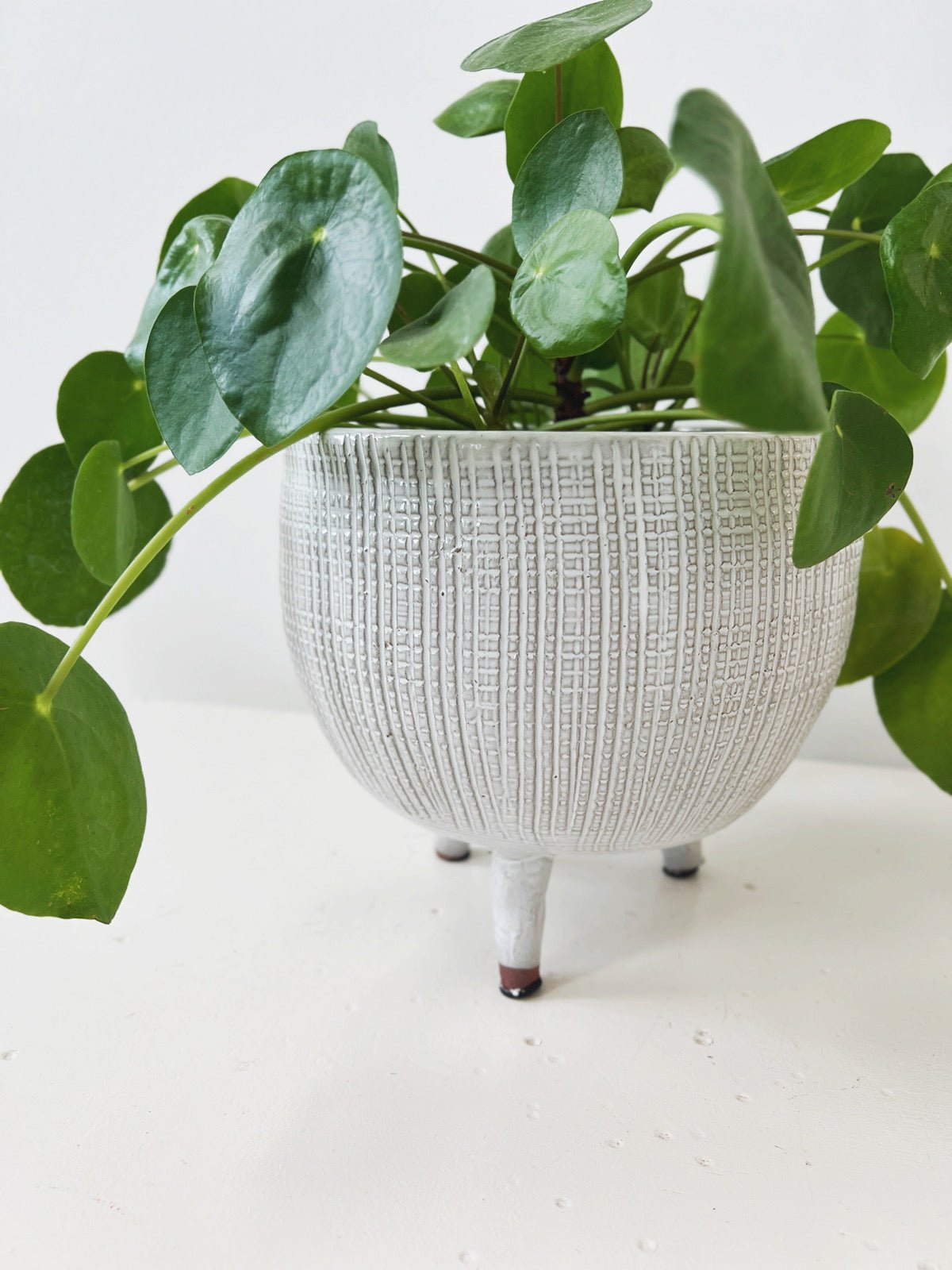 planter feet for pots Textured Planter w/ Feet – Spring Sweet