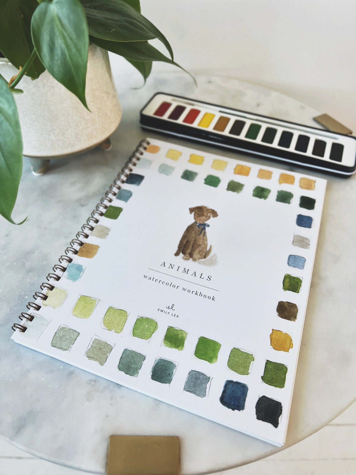 Stationery + Cards – Spring Sweet