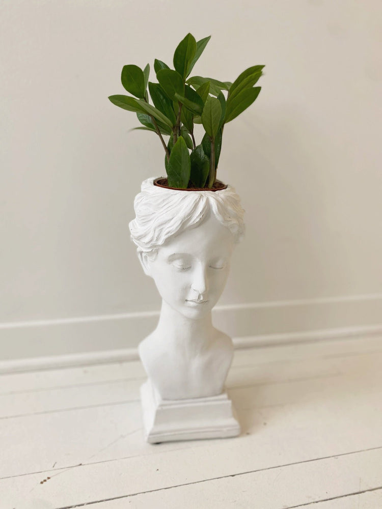 White Bust Planter - Spring Sweet